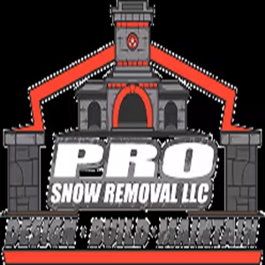 Pro Snow Removal